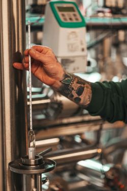 Bernd das Bier Malzgrad